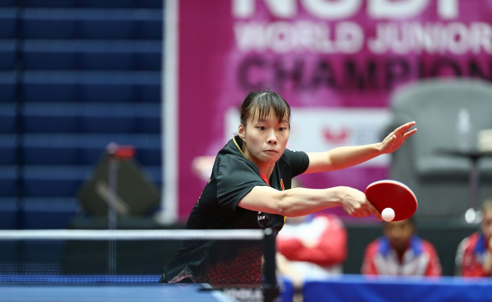 潘展乐近期 潘展乐近期