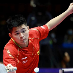 起来似乎是 起来似乎是